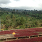 ETHIOPIA ISMAEL HASSEN KAYON MT.