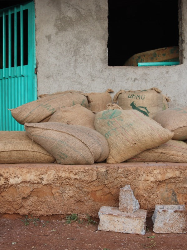 ETHIOPIA BUKU ABEL LOPITA