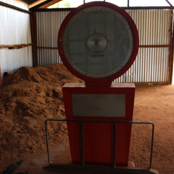KENYA KARINDUNDU AA LOT 6182