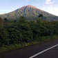 INDONESIA KERINCI NANA LACTIC