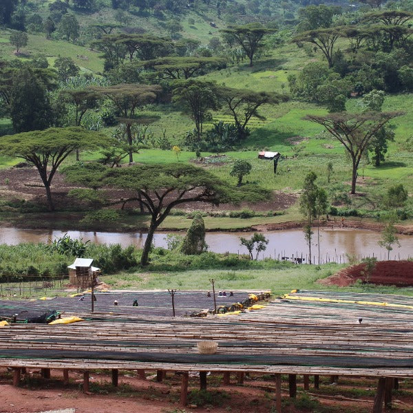 ETHIOPIA KAYON MESSIAH