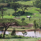 ETHIOPIA BUKU SAYISA ANNA