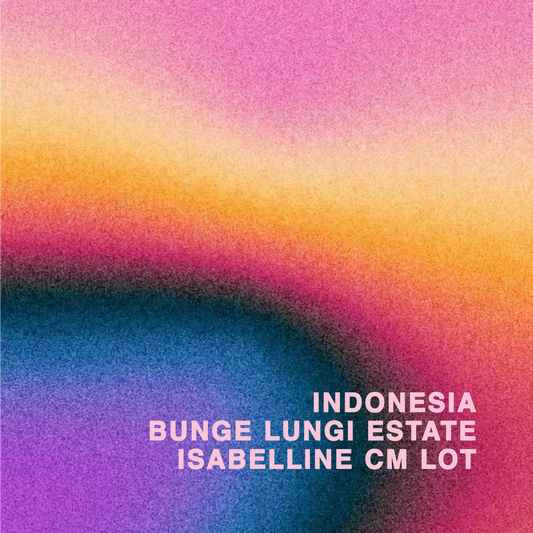 INDONESIA BUNGE LUNGI ESTATE ISABELLINE CM