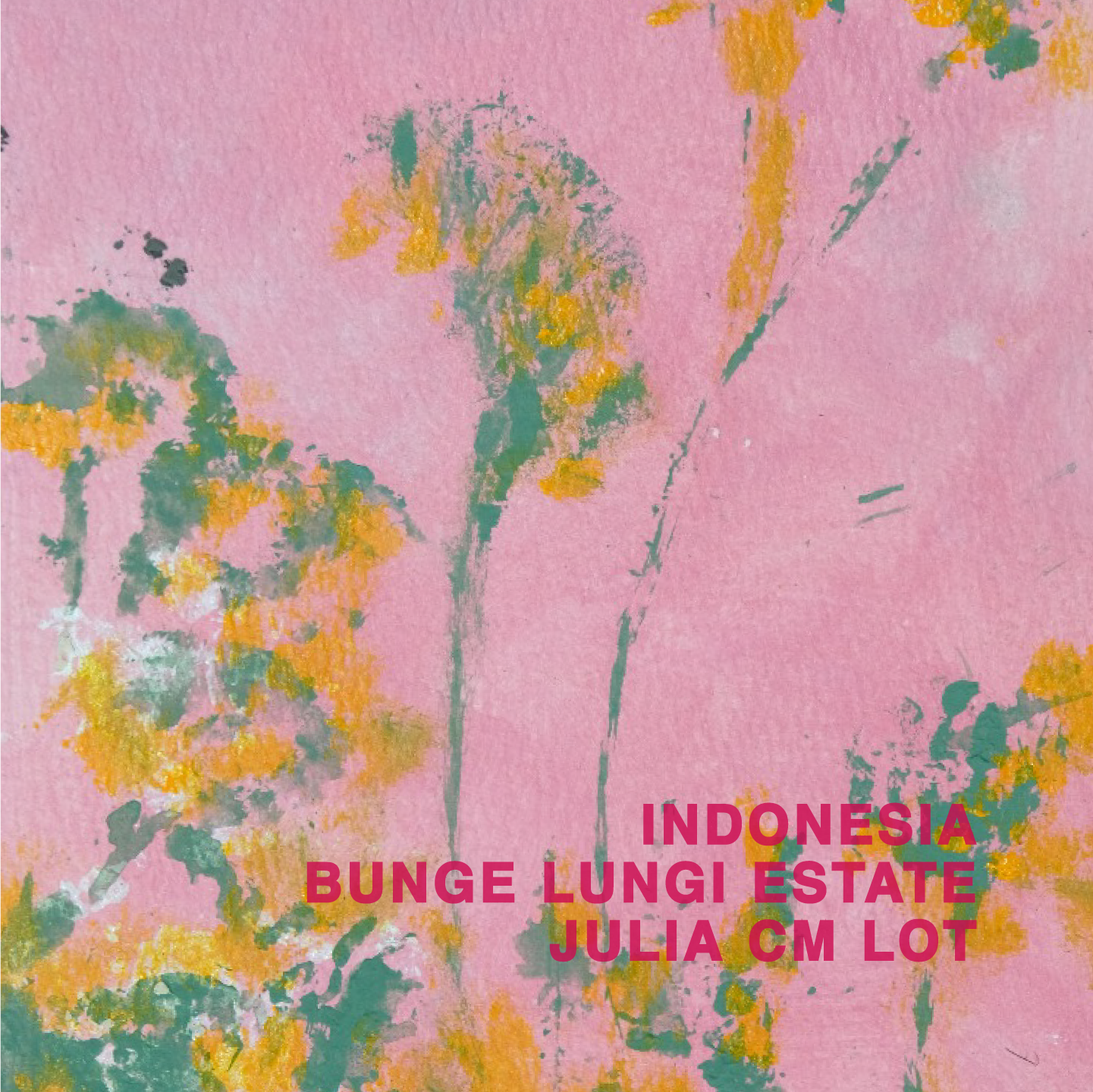 INDONESIA BUNGE LUNGI ESTATE JULIA CM LOT