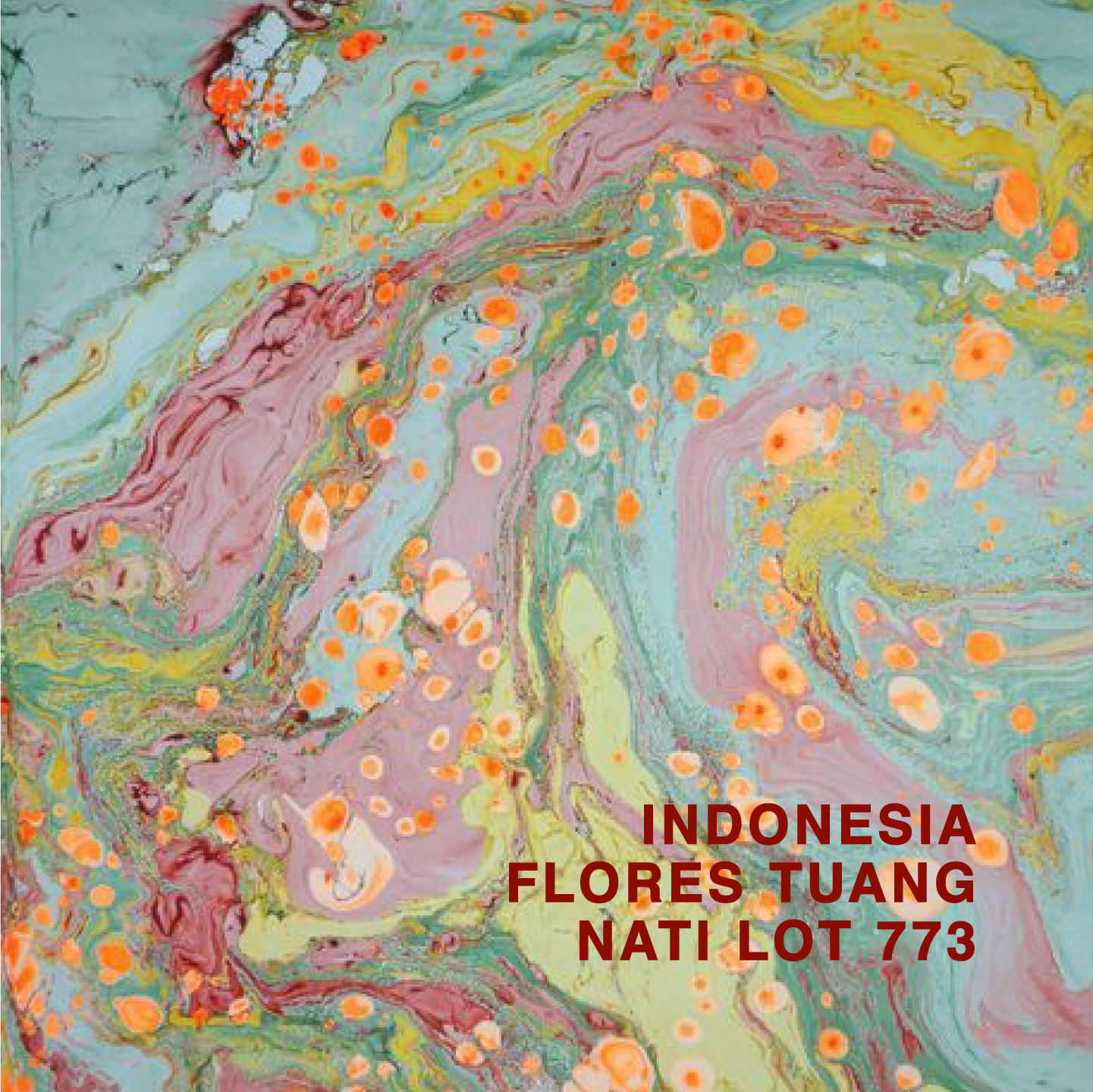 INDONESIA FLORES TUANG NATI LOT 407
