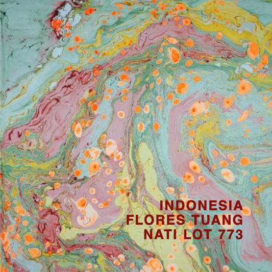 INDONESIA FLORES TUANG NATI LOT 407