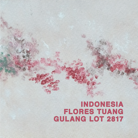INDONESIA FLORES TUANG GULANG LOT 2817