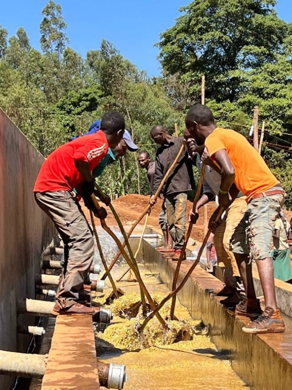 ETHIOPIA BOBEA UKE SEKTAR