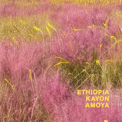 ETHIOPIA KAYON AMOYA