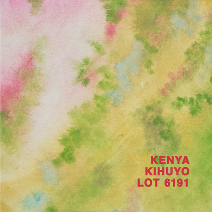 KENYA KIHUYO LOT 6191