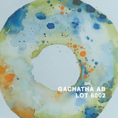 KENYA GACHATHA AB LOT 6002