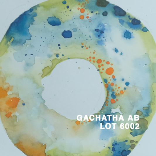 KENYA GACHATHA AB LOT 6002