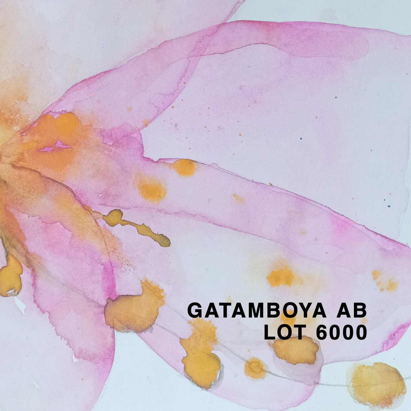 KENYA GATAMBOYA AB LOT 6000