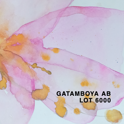 KENYA GATAMBOYA AB LOT 6000