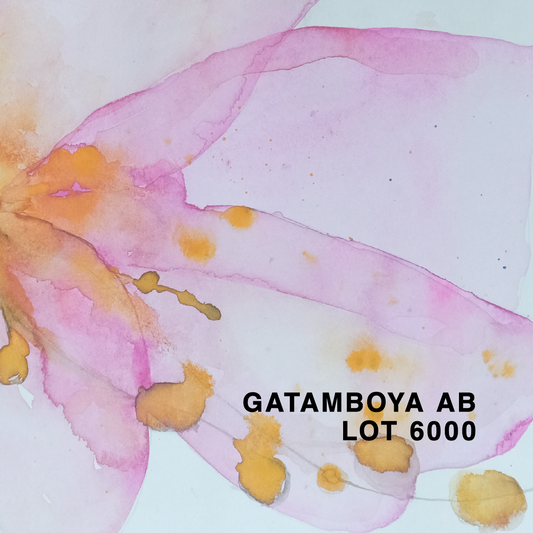 KENYA GATAMBOYA AB LOT 6000