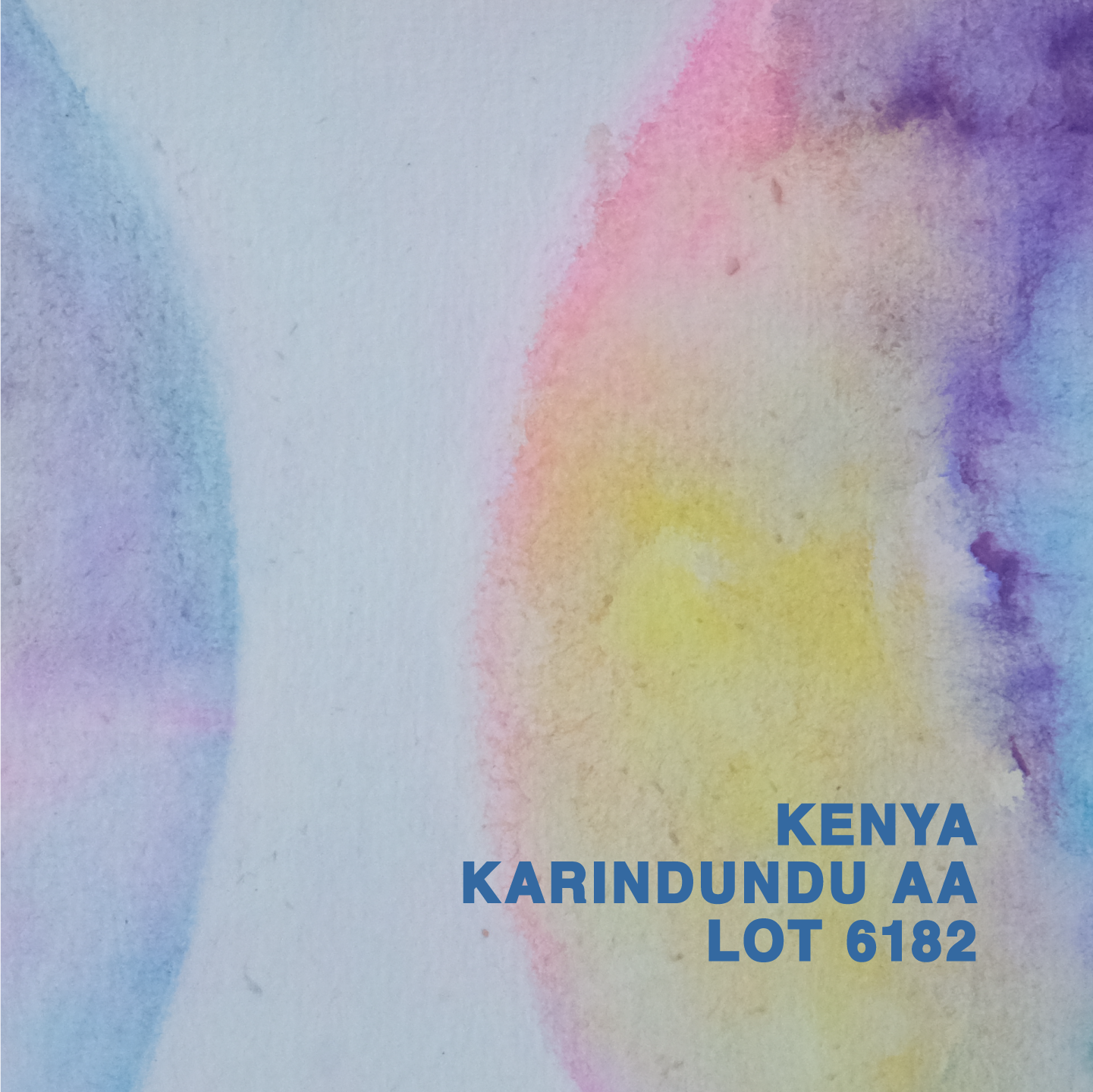 KENYA KARINDUNDU AA LOT 6182