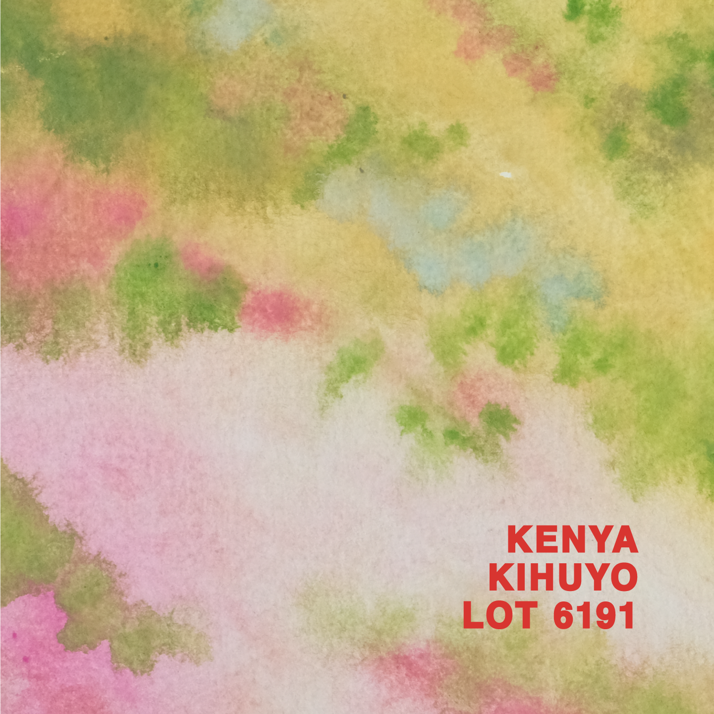 KENYA KIHUYO LOT 6191