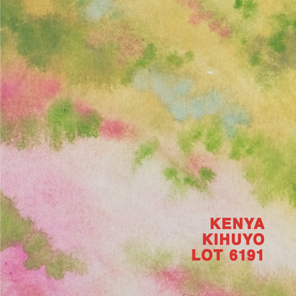 KENYA KIHUYO LOT 6191