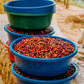 RWANDA GITEGA HILLS LOT 140