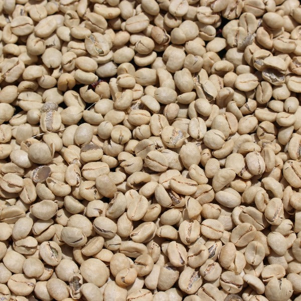 KENYA KIHUYO LOT 6191