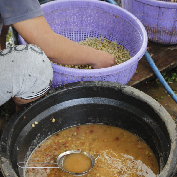 INDONESIA BEKALI ANGLING NITOWA
