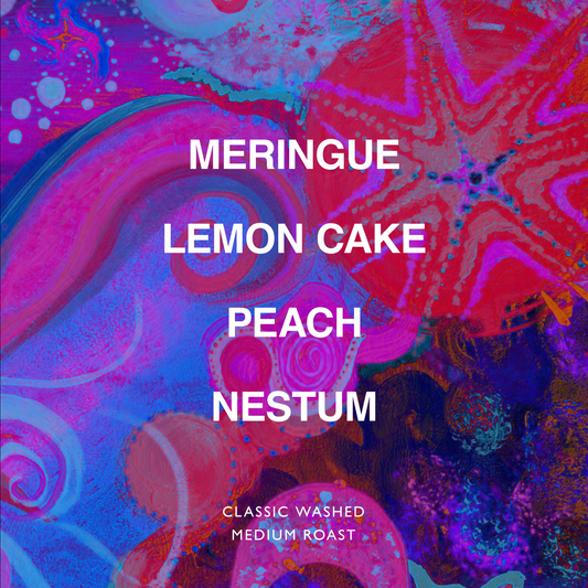 ETHIOPIA MUSTEFA ABAKENO LOT AMATERA