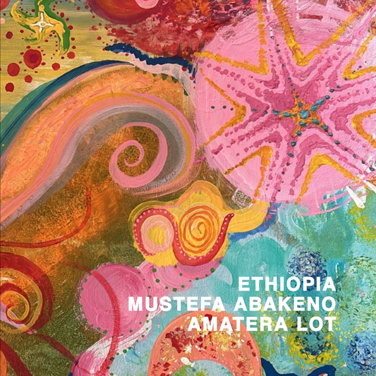 ETHIOPIA MUSTEFA ABAKENO LOT AMATERA