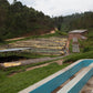RWANDA NYUNGWE HALO LOT #139