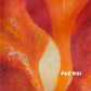 PAE'RGI