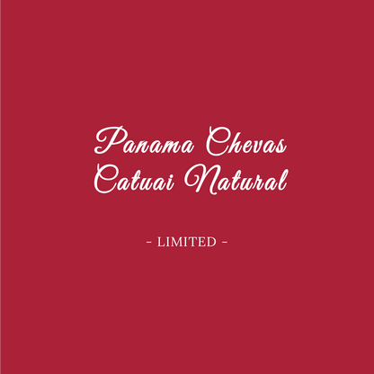 PANAMA CHEVAS TRADITIONAL CATUAI NATURAL