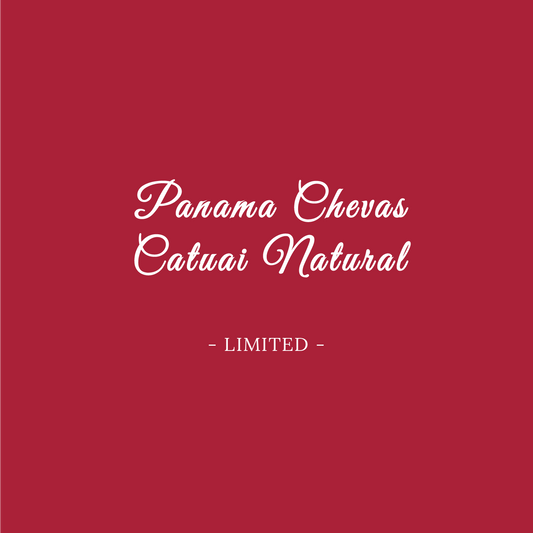 PANAMA CHEVAS TRADITIONAL CATUAI NATURAL