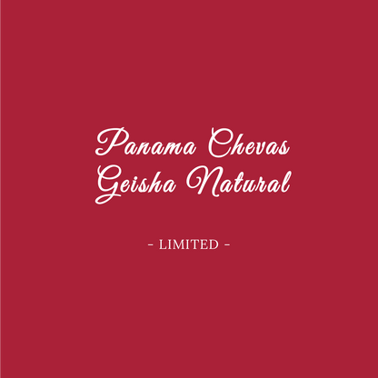 PANAMA CHEVAS TRADITIONAL GEISHA NATURAL