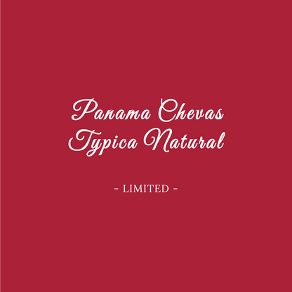 PANAMA CHEVAS TRADITIONAL TYPICA NATURAL