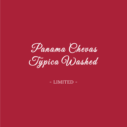 PANAMA CHEVAS TRADITIONAL TYPICA WASHED