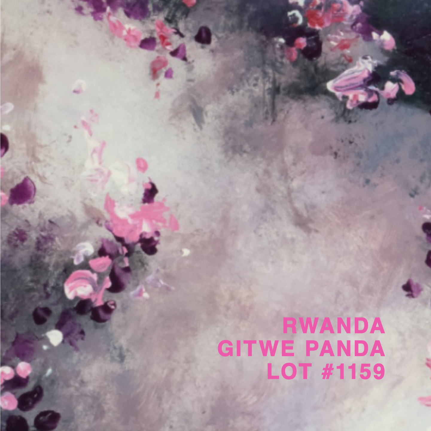 RWANDA GITWE PANDA LOT #1159