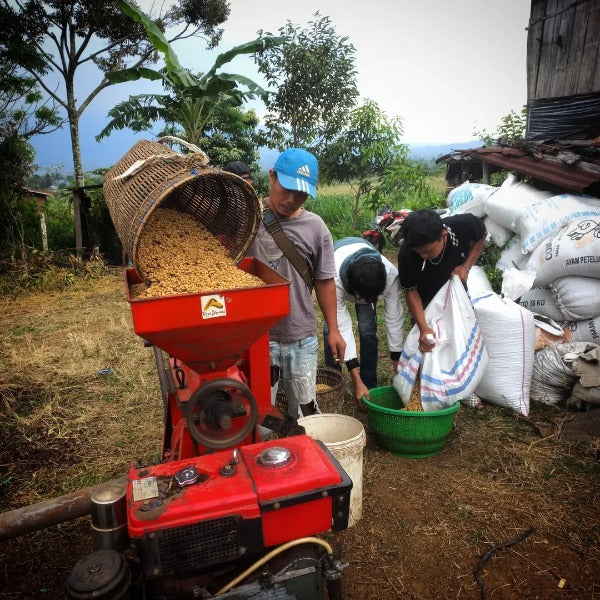 INDONESIA SEMENDO POPILOS GAYA
