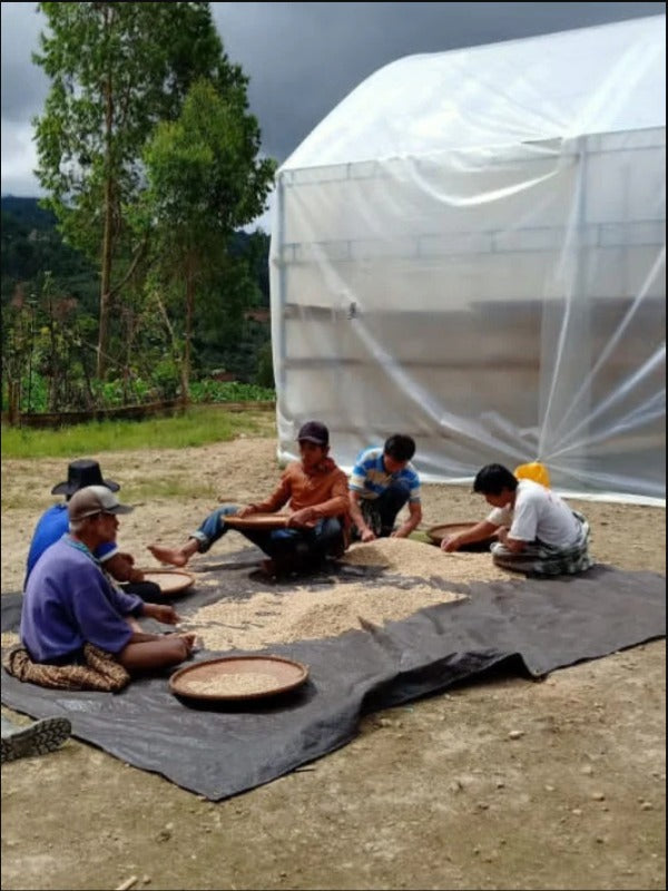 INDONESIA TORAJA SAPAN DANGI' 