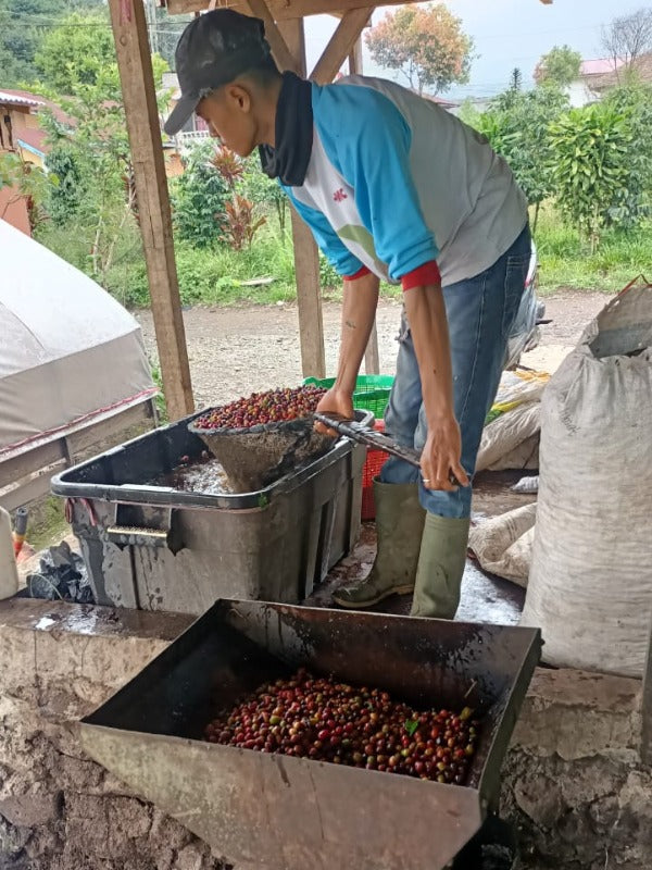 INDONESIA KERINICI POLKA 'ZA