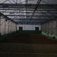INDONESIA BUNGE LUNGI DARKROOM