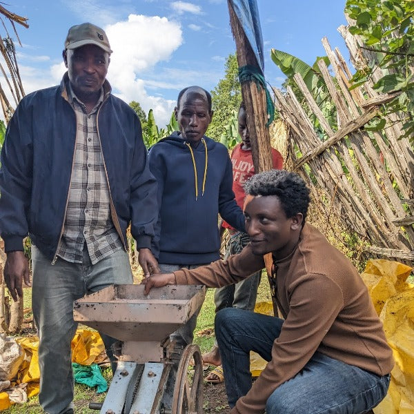 ETHIOPIA SAGARA HARO GENET G1 LOT 3