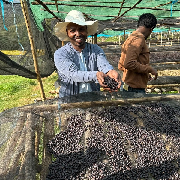 ETHIOPIA FINCHA HAWA BASHAKELELE