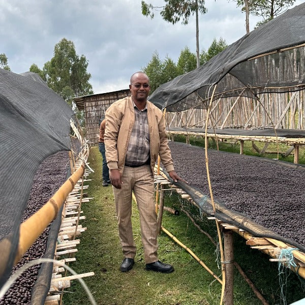 ETHIOPIA NIGUSSE NARE MURANGO LOT Q