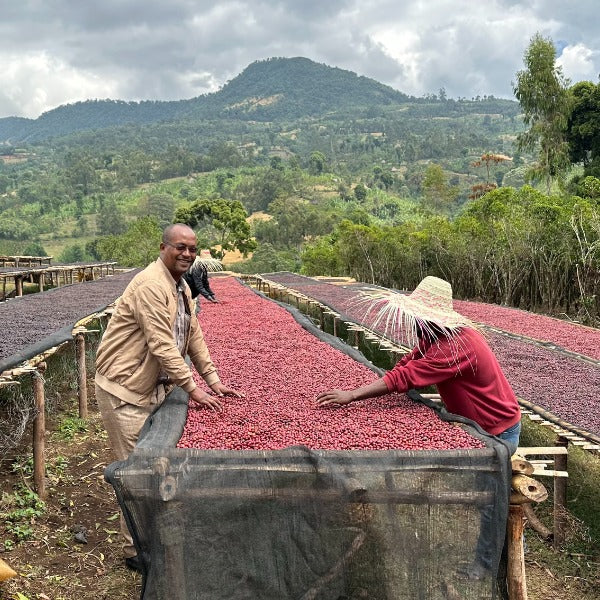 ETHIOPIA NIGUSSE NARE MURANGO LOT Q